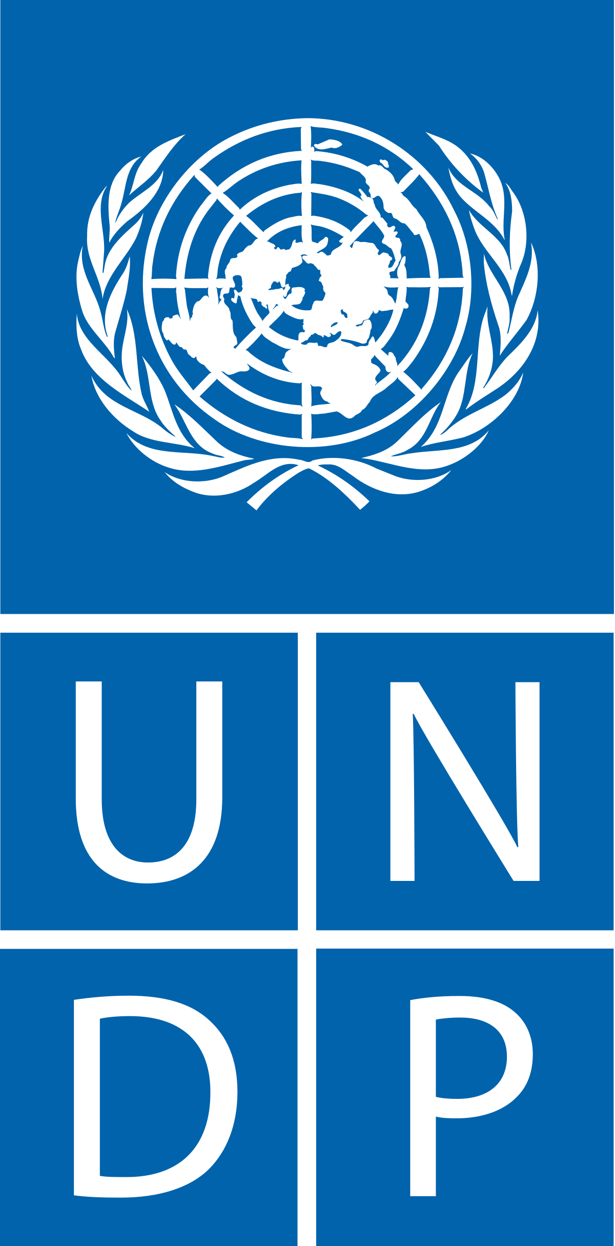 UNDP logo for workshop
