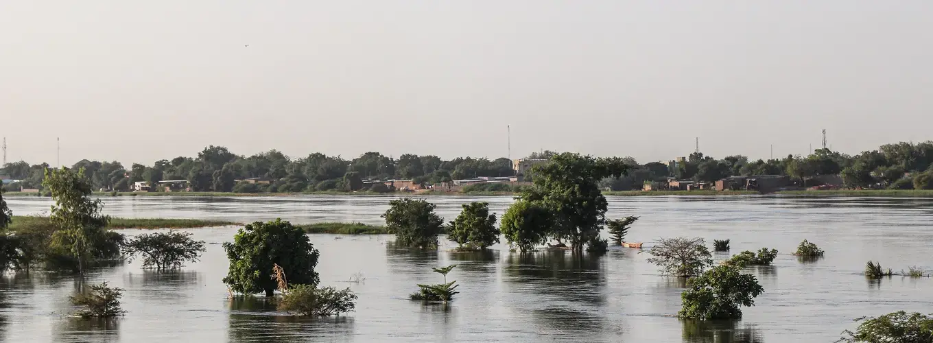 A flooded landscape