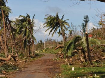 Fiji - Response to Tropical Cyclone Harold