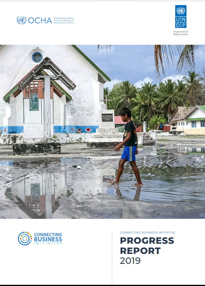 CBi Progress Report 2019