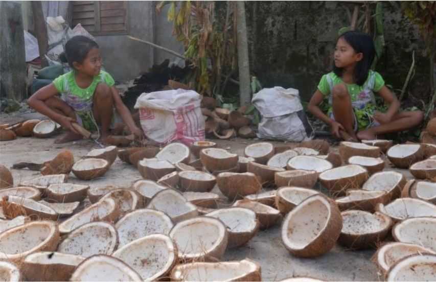 Eight-year-old twins Lyka and Jenika are helping in the family’s copra business