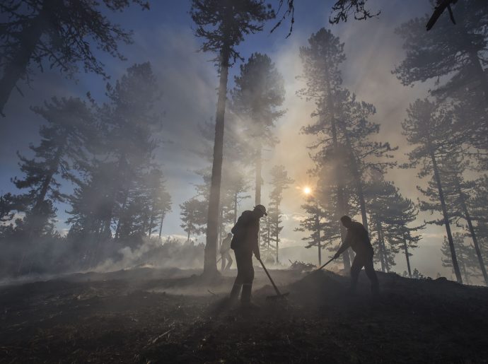 Disaster Risk Reduction: An Interview with Erhan Arslan, TÜRKONFED