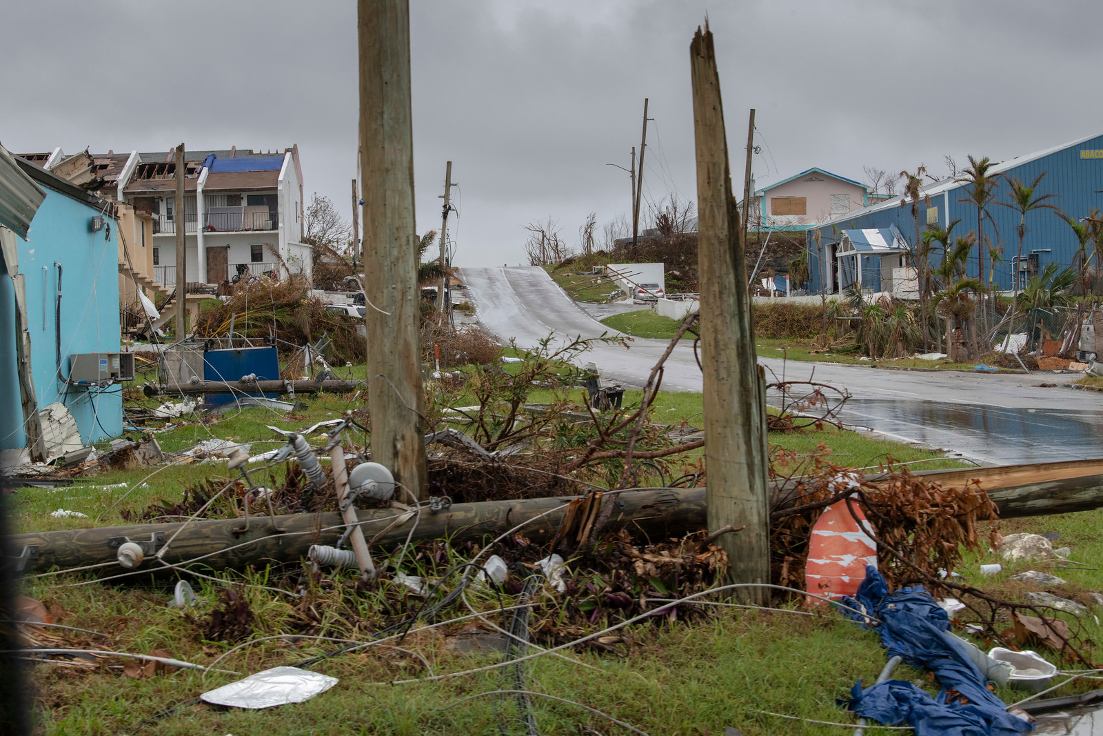 Disaster Risk Reduction: An Interview with Leonard Chan, Pacific Business Resilience Network