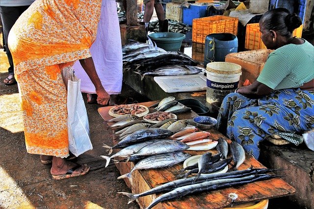 Recognizing the importance of MSMEs to business networks and disaster recovery