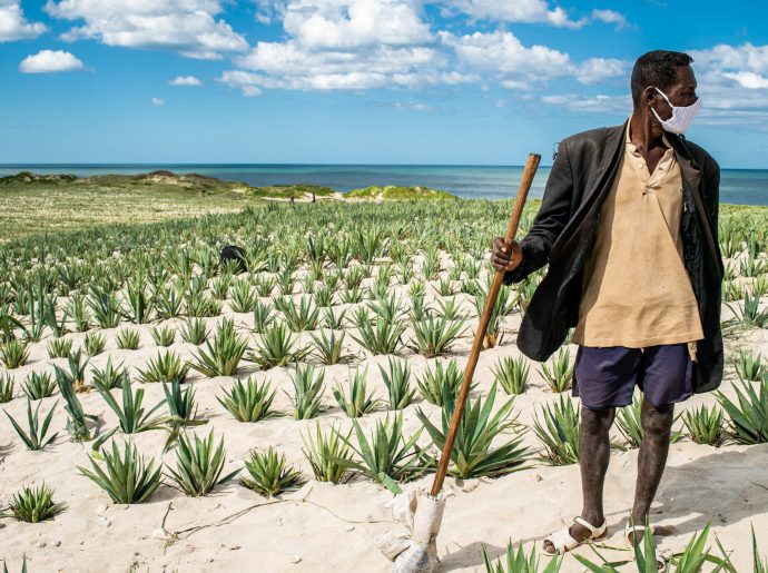 Madagascar Private Sector Humanitarian Platform (PSHP Madagascar)