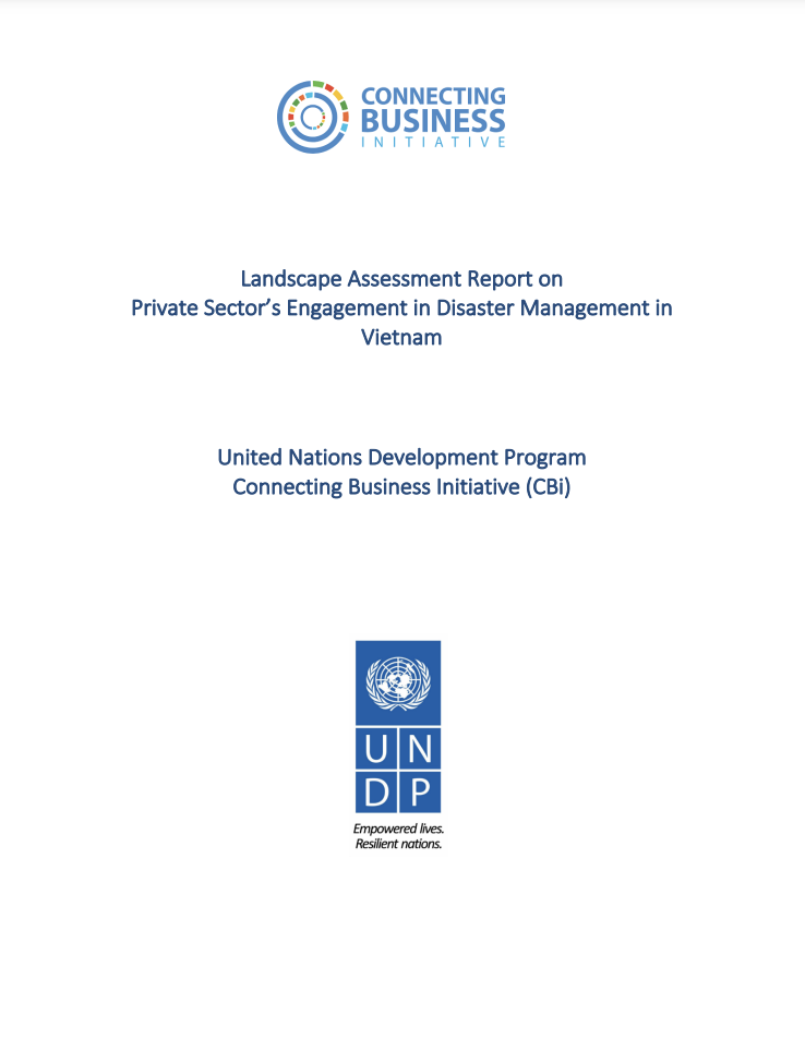 Landscape Assessment Report on Private Sector’s Engagement in Disaster Management in Vietnam