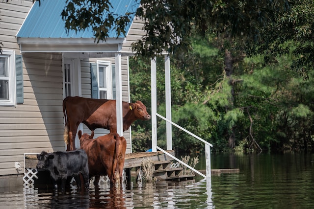 El Niño is back: 5 Reasons why businesses must take action
