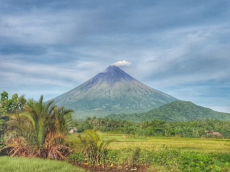 3 ways the Philippine private sector supported the Mayon Volcano response