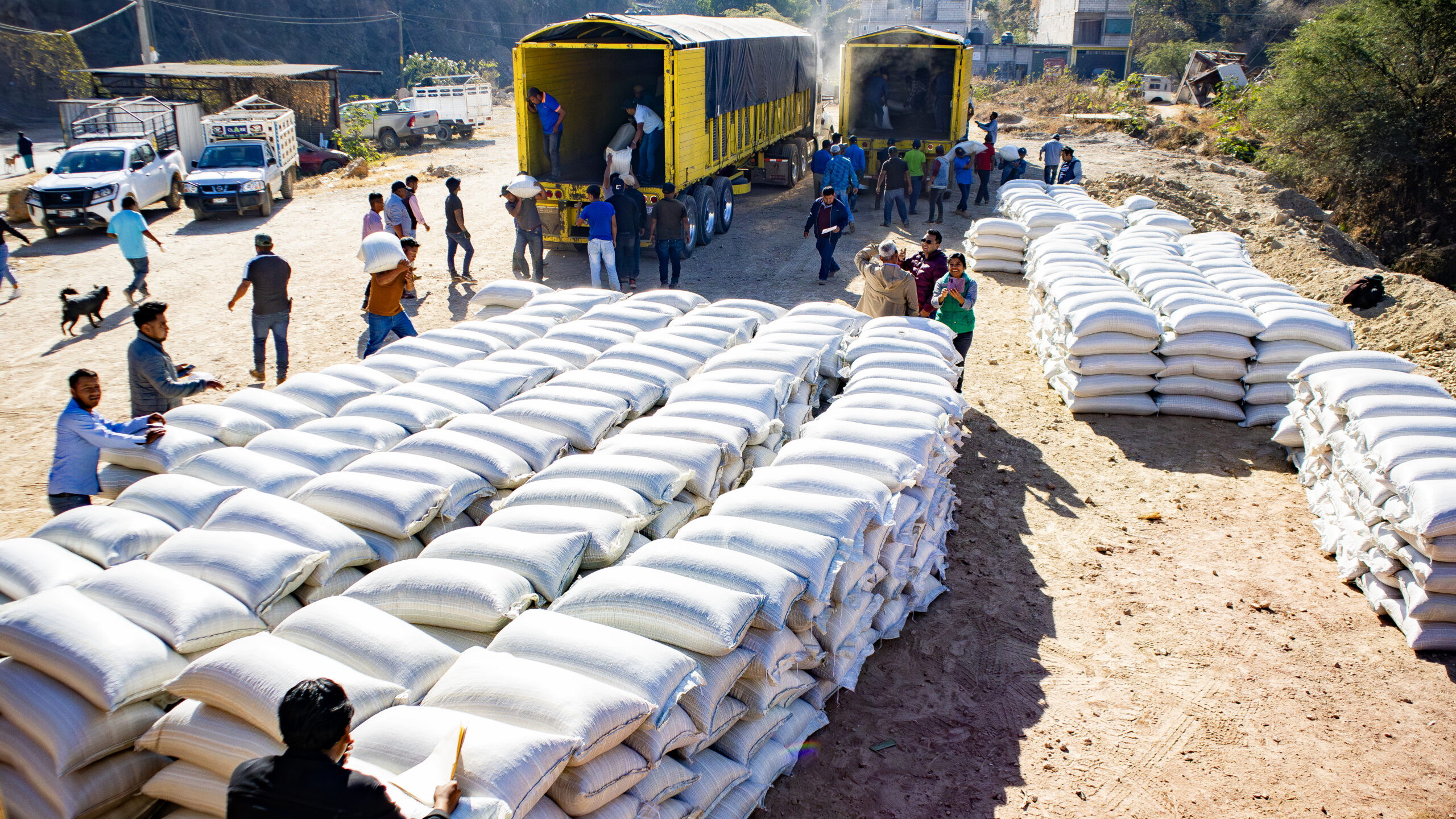 CENACED, a CBi Member Network, worked with partners to distribute thousands of kilos of maize and beans to hard-to-reach communities in the mountains of Guerrero, Mexico, as part of response and recovery efforts following Hurricane John. Photo: Colectivo Gusanos de la Memoria via CENACED
