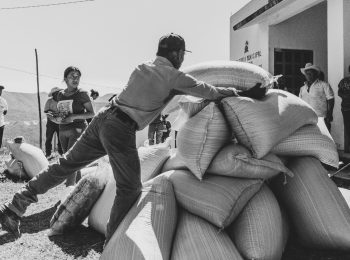 A member of Colonia Aviación in the municipality of Malinaltepec helps unload and prepare the maize and beans to distribute as part of the Hurricane John response efforts. Photo: Colectivo Gusanos de la Memoria via CENACED