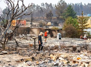 Affected people of the wildfires in Punta de Parra, Tomé, walk among the remains of their homes. Photo: Desafío.