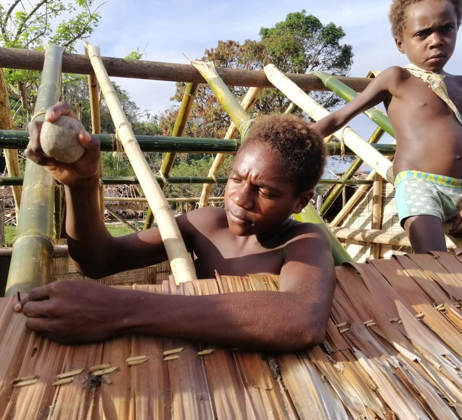 Case study from Vanuatu: Best practices in risk reduction, emergency preparedness, response and recovery